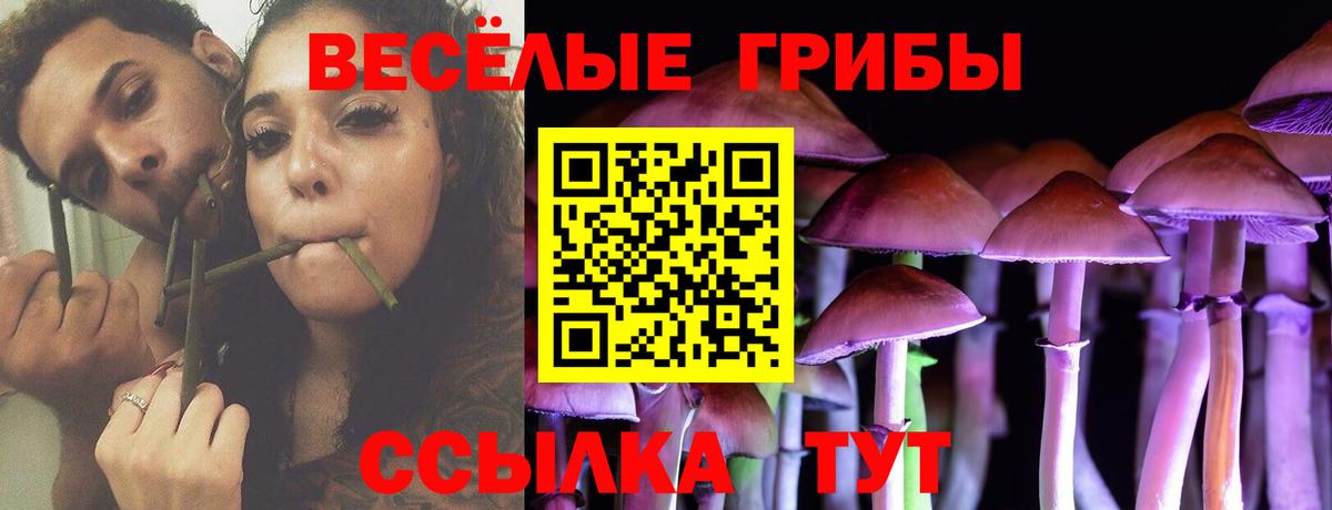 Галлюциногенные грибы Psilocybe Ишимбай