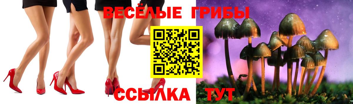 Галлюциногенные грибы мухоморы  Псилоцибиновые грибы GOLDEN TEACHER  Вход с VPN  Ишимбай 